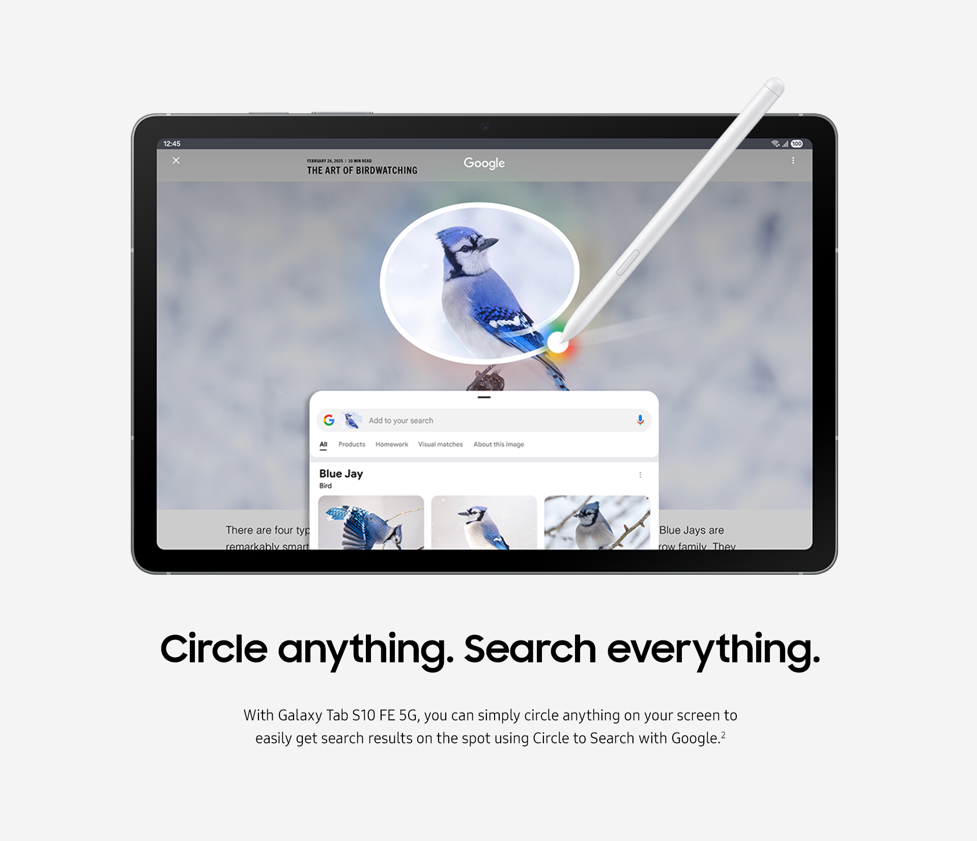 Circle anything. Search everything.