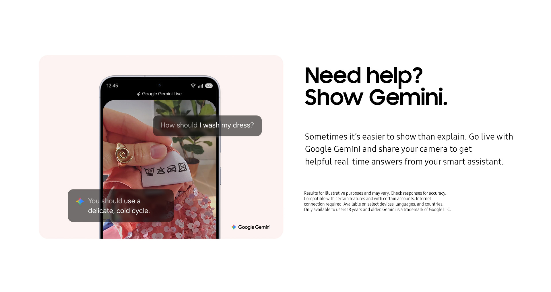 Need help? Show Gemini.