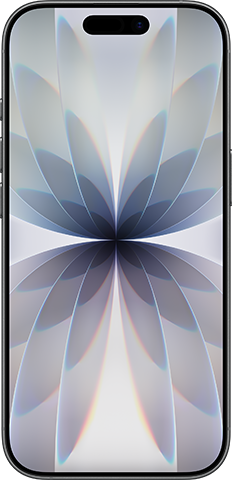 Apple iPhone 17 - Black 512GB